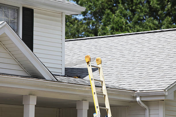 Best Fiber Cement Siding Installation  in St Augusta, MN